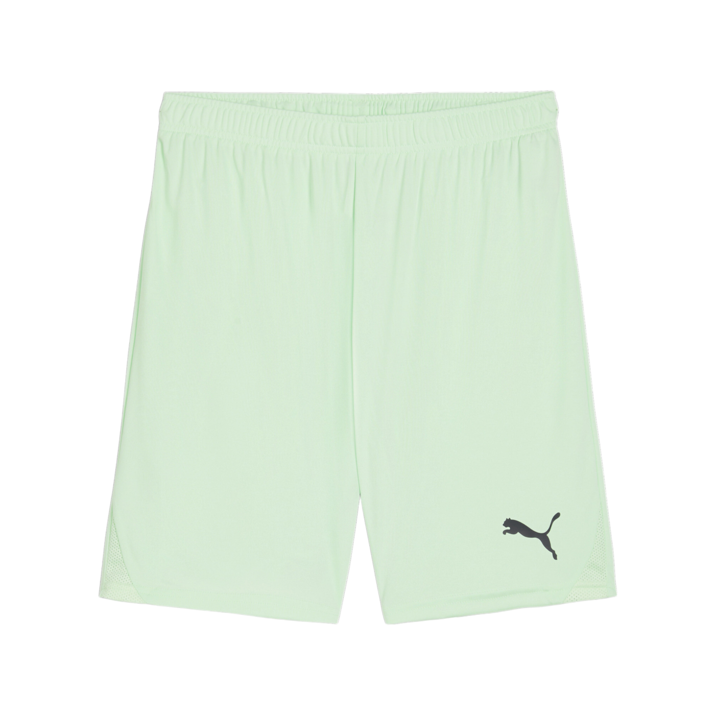 PUMA teamGOAL Short Grün Schwarz F60