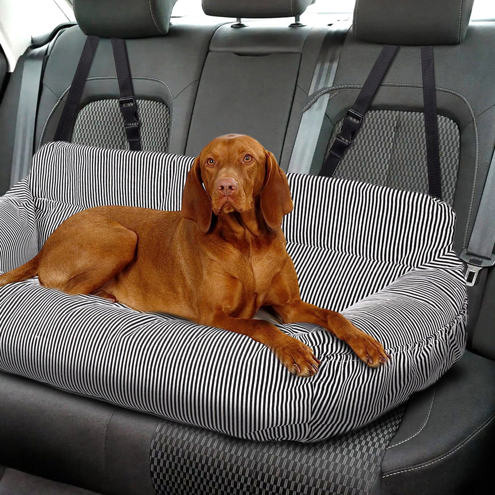 CALIYO Hunde-Autositz 2-in-1 Autositz und Bett für Hunde, wasserfest Hundesitz, geeignet für alle Arten von Autos, multifunktionales Hundebett