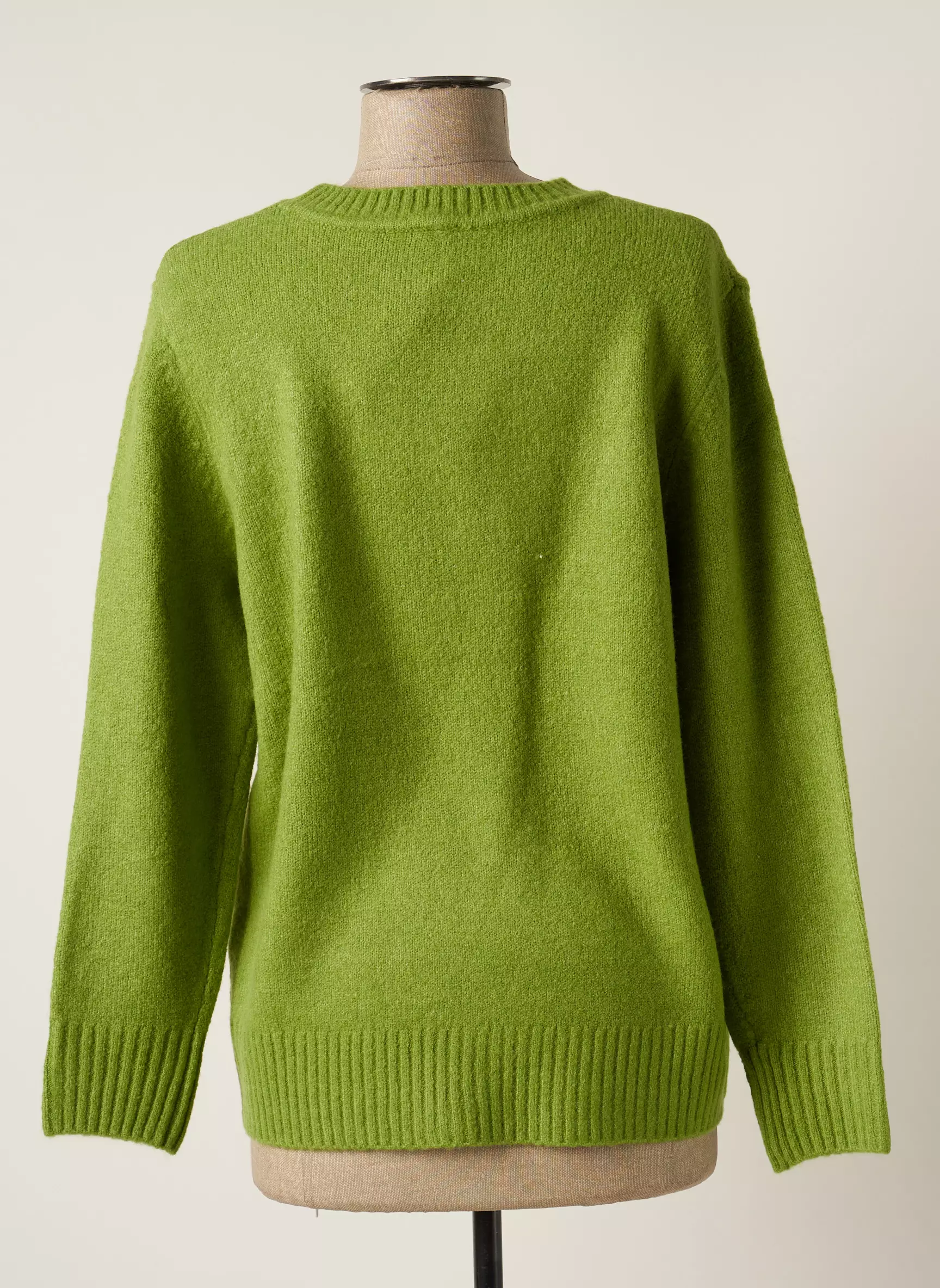 Scorzzo Pulls Femme couleur vert