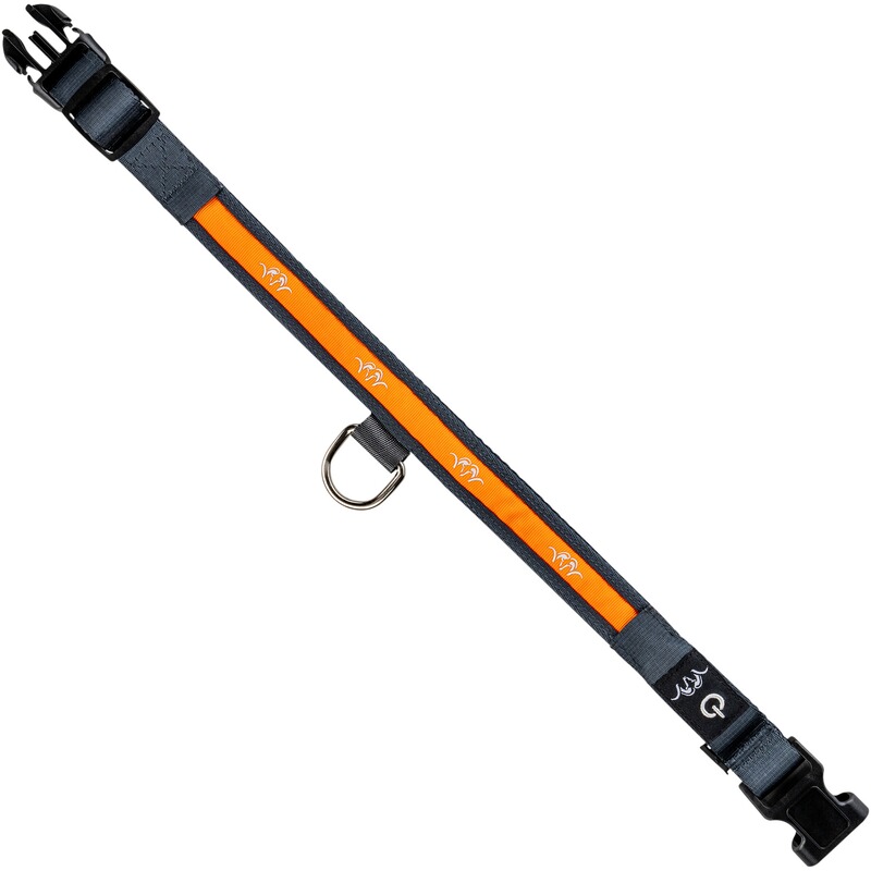 Blaser Halsband LED