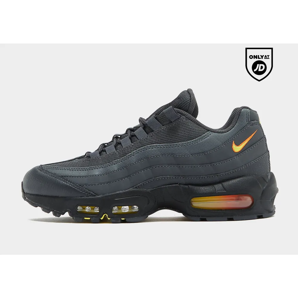 Nike Air Max 95 FZ4626-001 / grau
