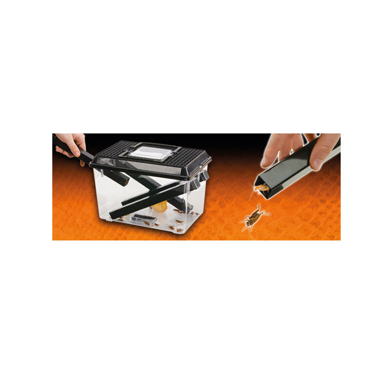 Exo Terra Faunaboxen Exo Terra Cricket Box S