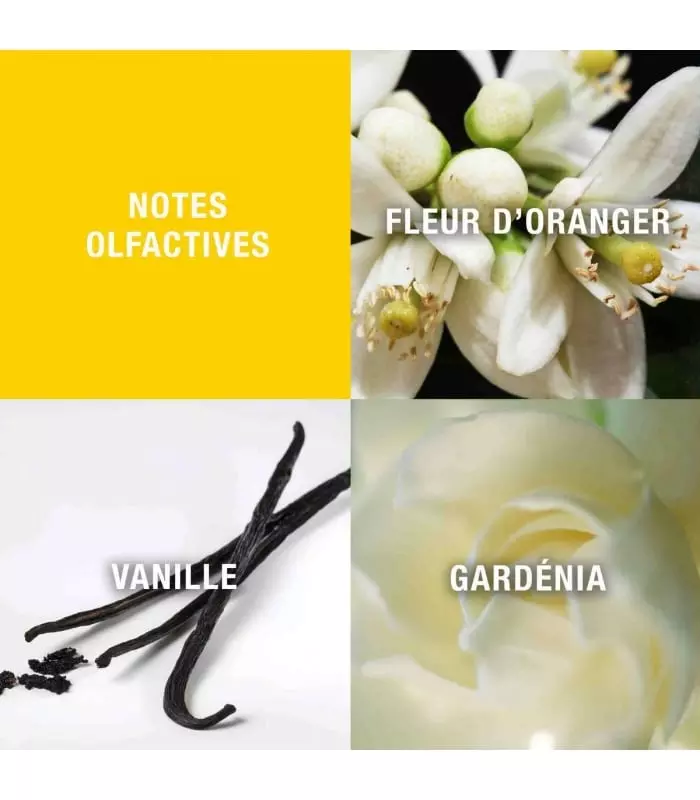 GIORGIO Eau de Toilette Vaporisateur