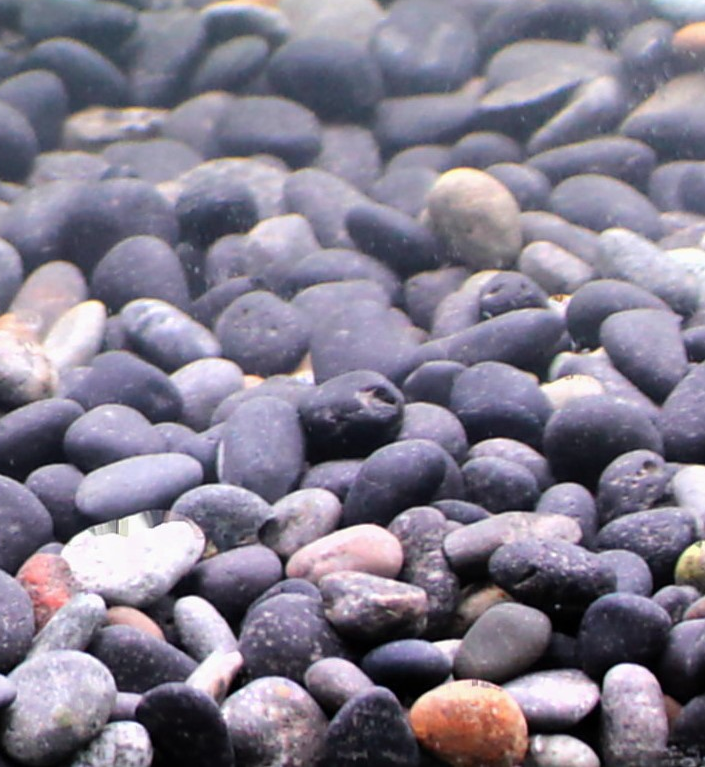 Silbermann Bodengrund Silbermann Dark Gravel 15 kg