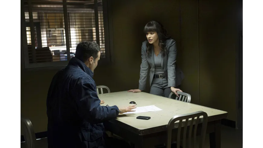 Blue Bloods - Staffel 5  [6 DVDs]