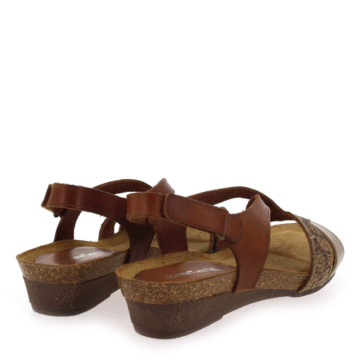 Xapatan   9105  - Cognac