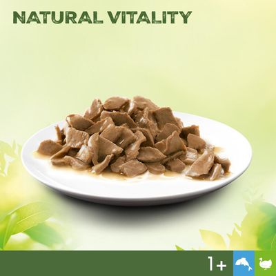 Perfect Fit Natural Vitality Adult 1+