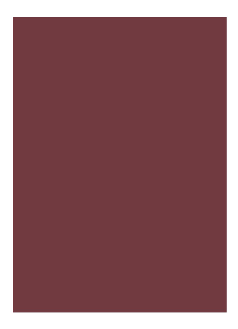 Bobbi Brown Luxe -huulipuna