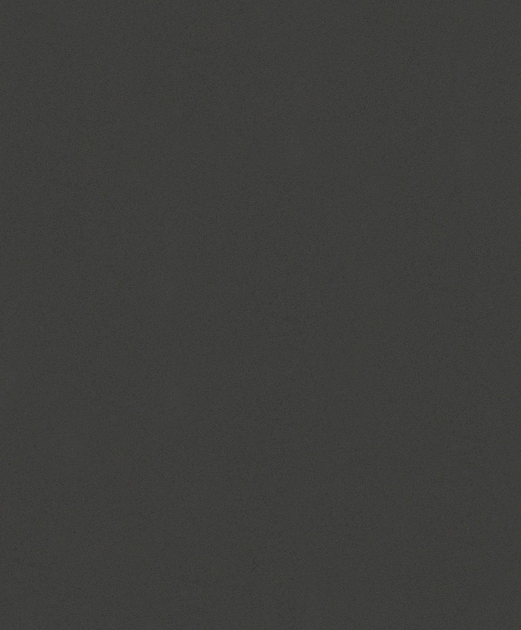 SCHÖNER WOHNEN-Kollektion Vliestapete, 0,53 x 10,05 Meter