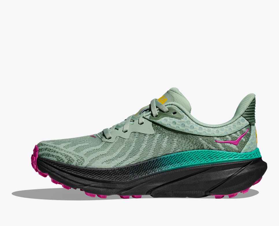 Challenger 7 Aloe Vera / Black
