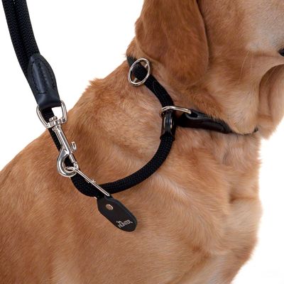 HUNTER Retriever-Führleine Freestyle