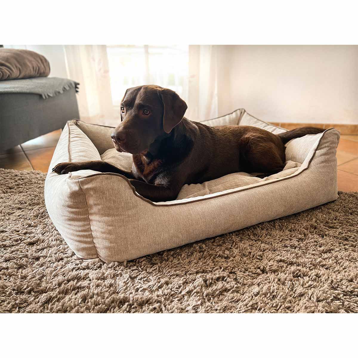 Aumüller Hundebett Sofa Ortho Line Beige kaufen bei ZooRoyal