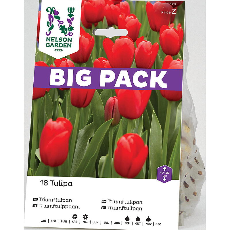 Nelson garden Høstløk Tulipan Triumph rød