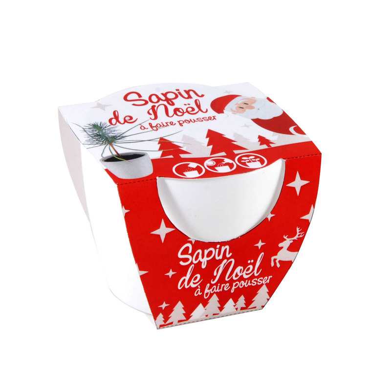 Sapin de Noël à faire pousser Radis et capucine