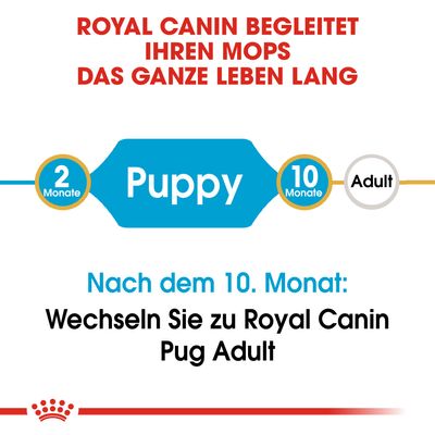 Royal Canin Pug Puppy