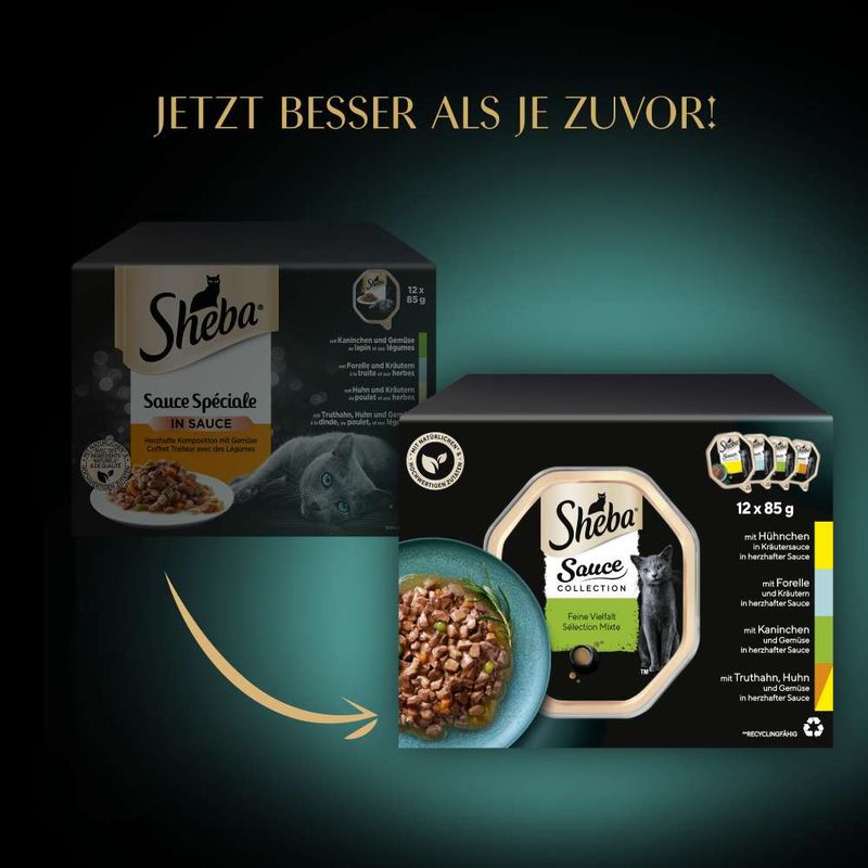 Sheba Varietäten Schälchen 12 x 85 g zu TOP-Preisen