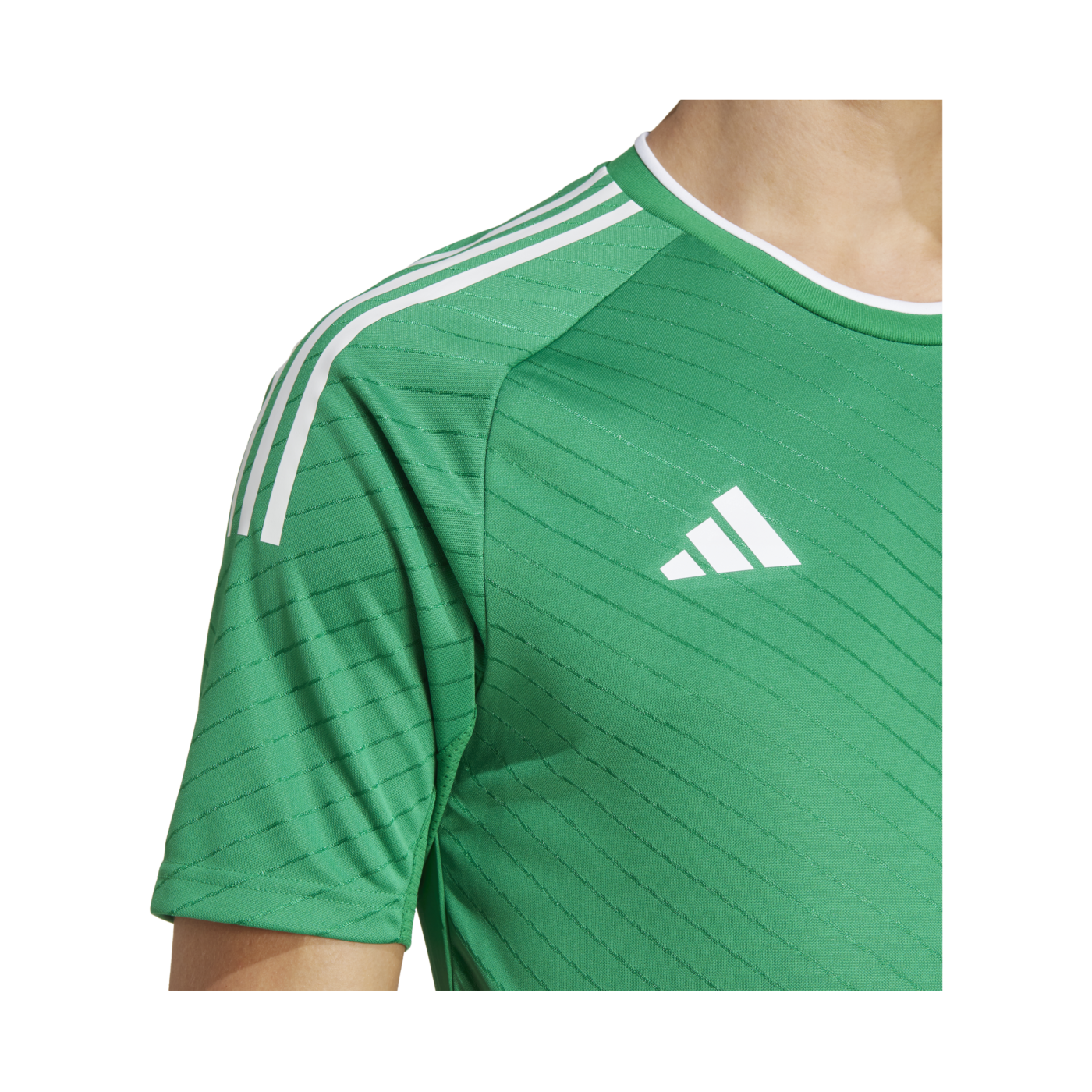 adidas Campeon 23 Trikot Grün