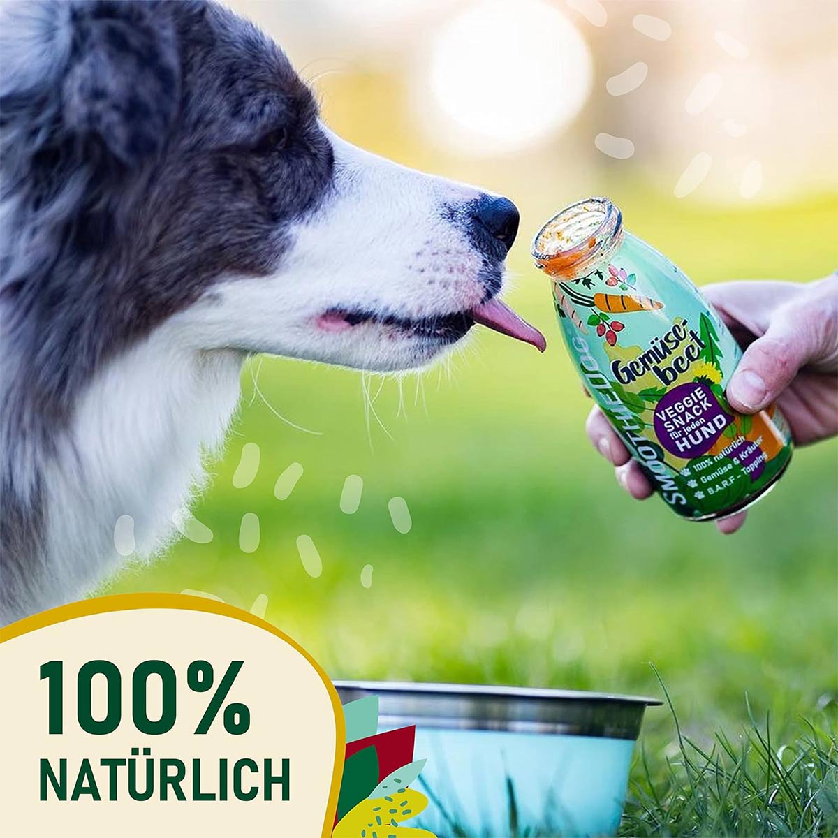 SmoothieDog Mix 6x250ml günstig kaufen bei ZooRoyal