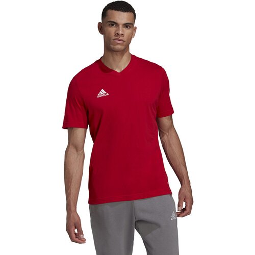 HERREN FANSHIRT ENTRADA 22 (NORMAL & LANG)
