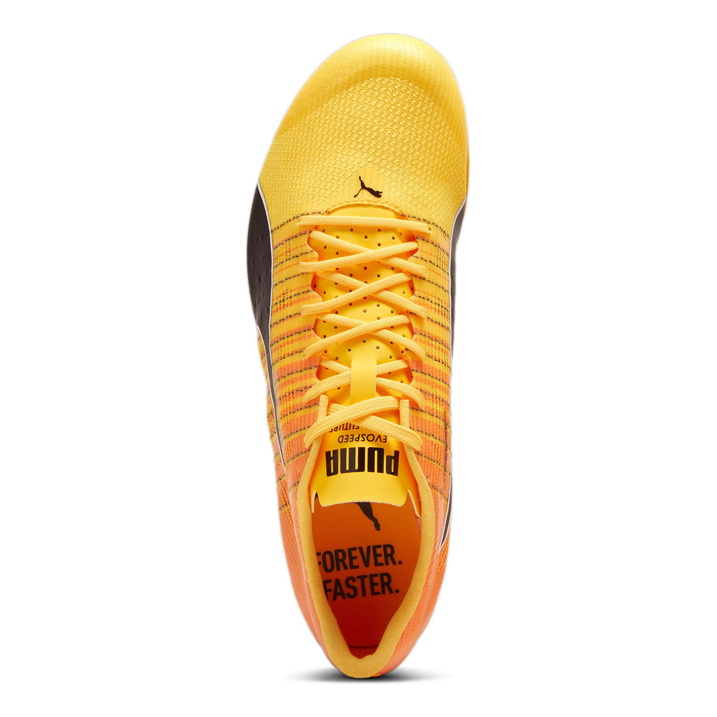 EvoSPEED FUTURE 6 Spikeschuh - Gelb, Orange