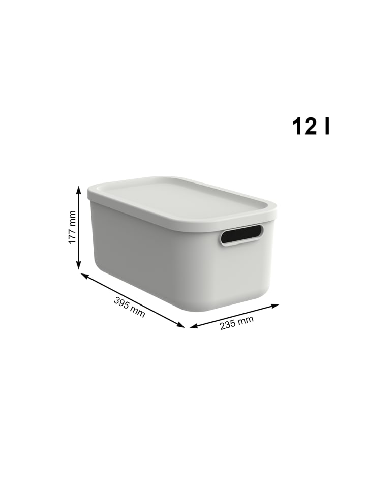 Rotho Albula Light Kiste 12l mit Deckel in Mistelweiß günstig kaufen onesize