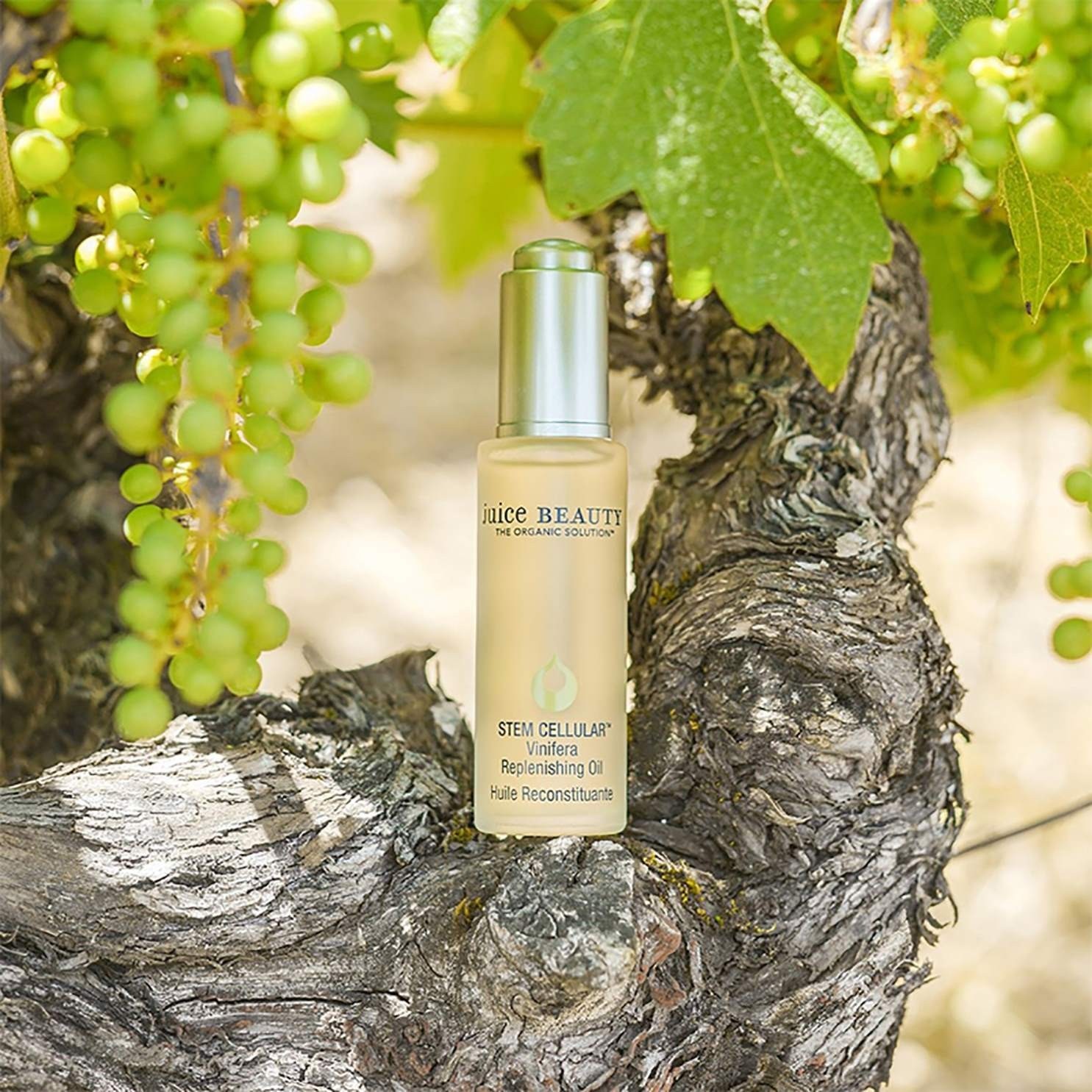 Olejek regenerujący Juice Beauty Vinifera