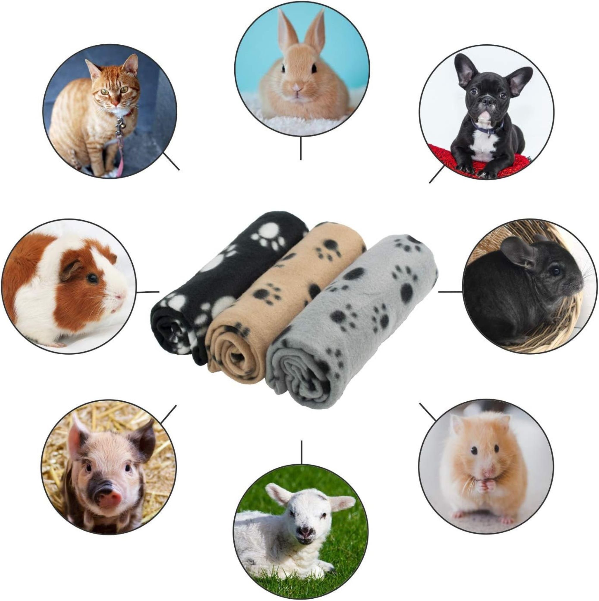 Bäll Tierdecke Hundedecke Katzen Decke Fleece robust, reißfest, flauschig weich, Möbel und Polsterschutz, 3 STK SPARSET