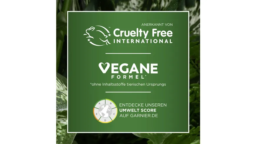 Garnier Skin Aktive Hautklar Tuchmaske Teebaumöl