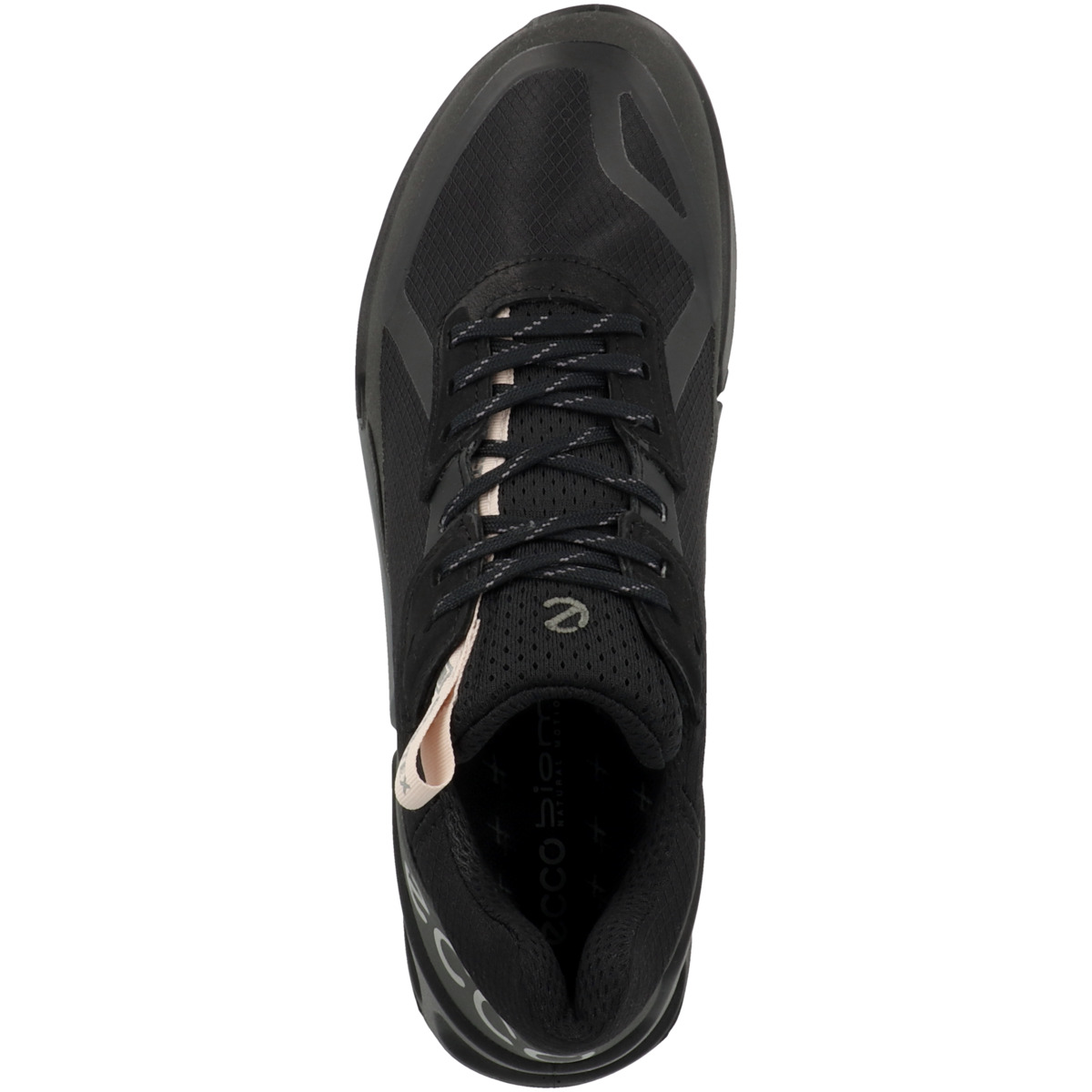 Ecco Biom 2.1 X Country Outdoorschuhe schwarz
