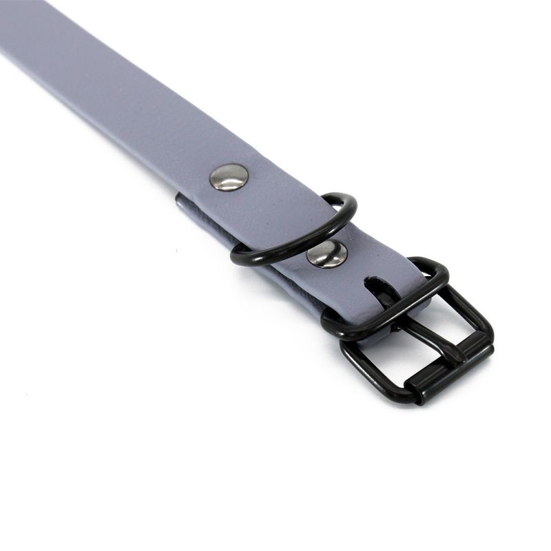 Heim Halsband BioThane, grau zu TOP-Preisen