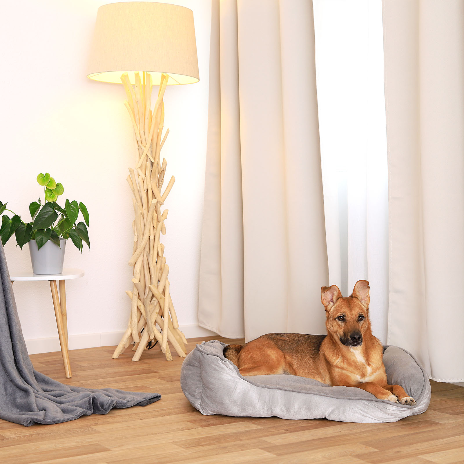 Lionto Hundebetten Lionto 2-in-1 Hundebett Hundekissen M
