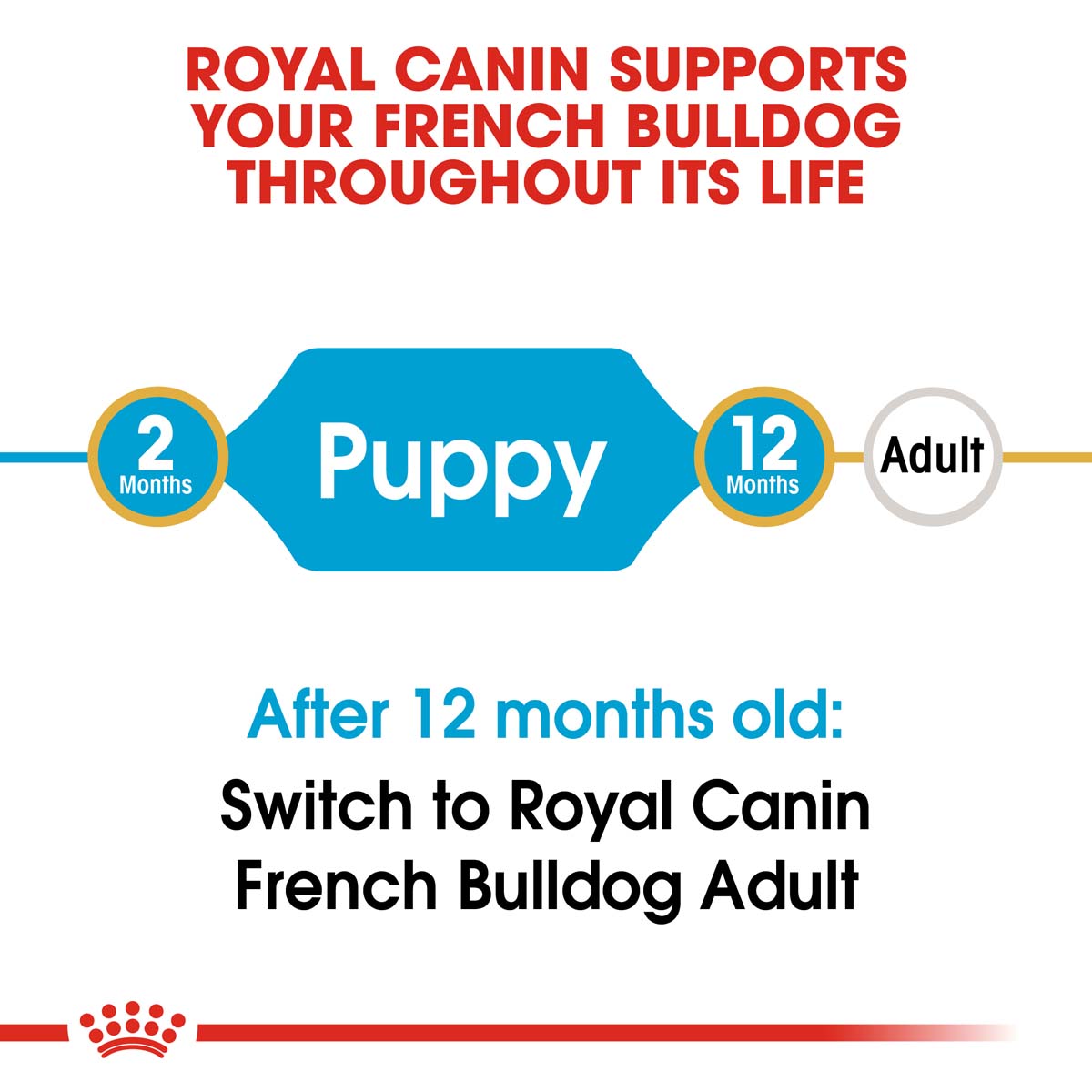 ROYAL CANIN French Bulldog Puppy Welpenfutter trocken für Französische Bulldoggen