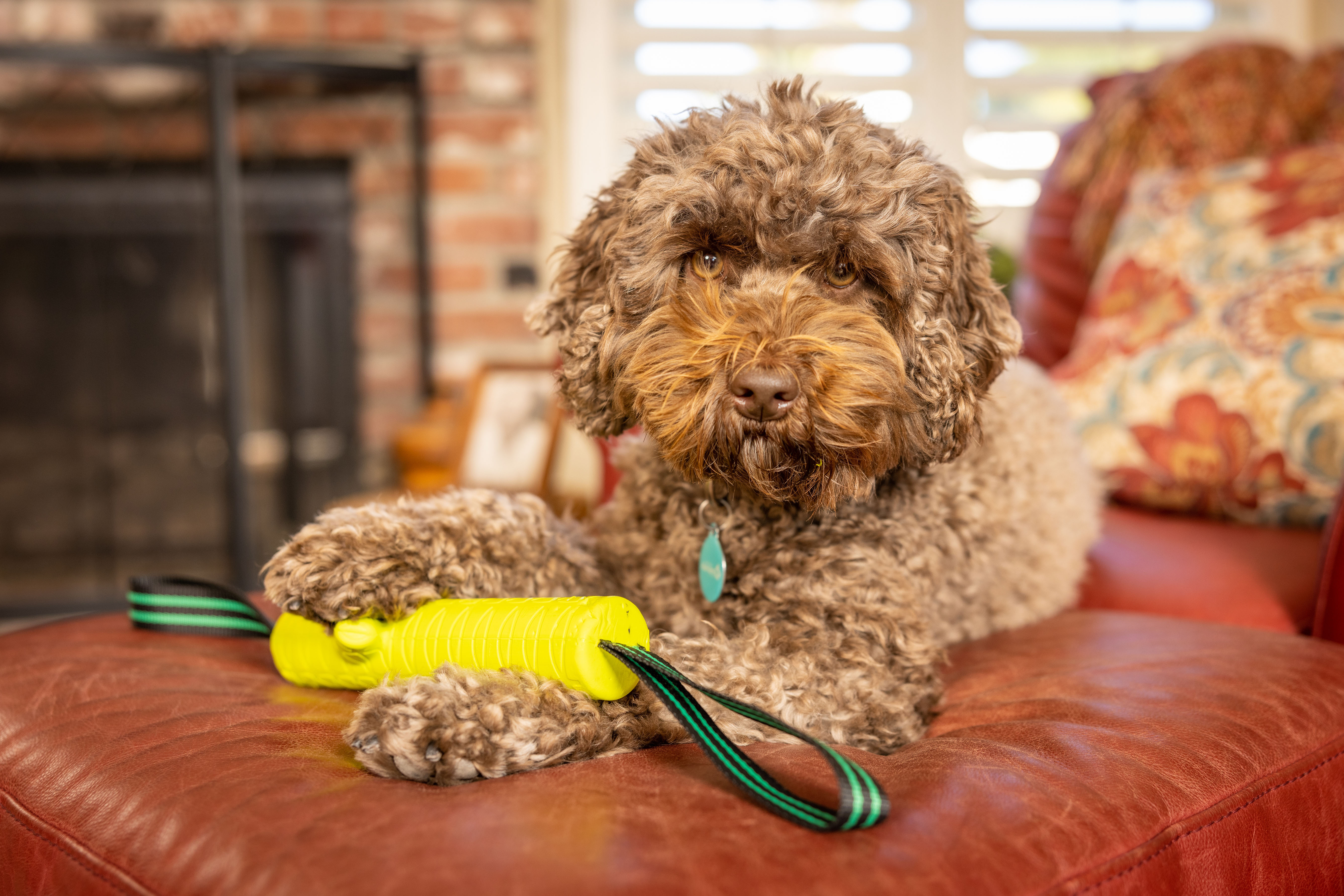 Hyper Pet Frisbees & Wurfspielzeug Hyper Pet Grab Tabs EVA Fetch Stick