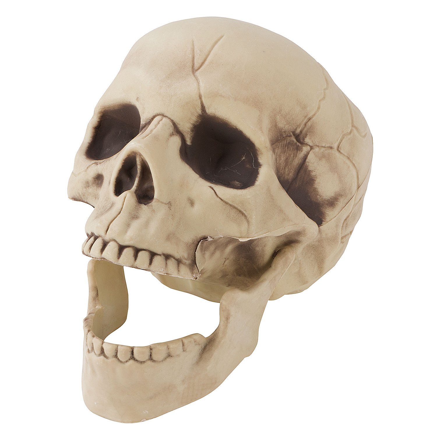 Totenkopf, beige, 21 cm