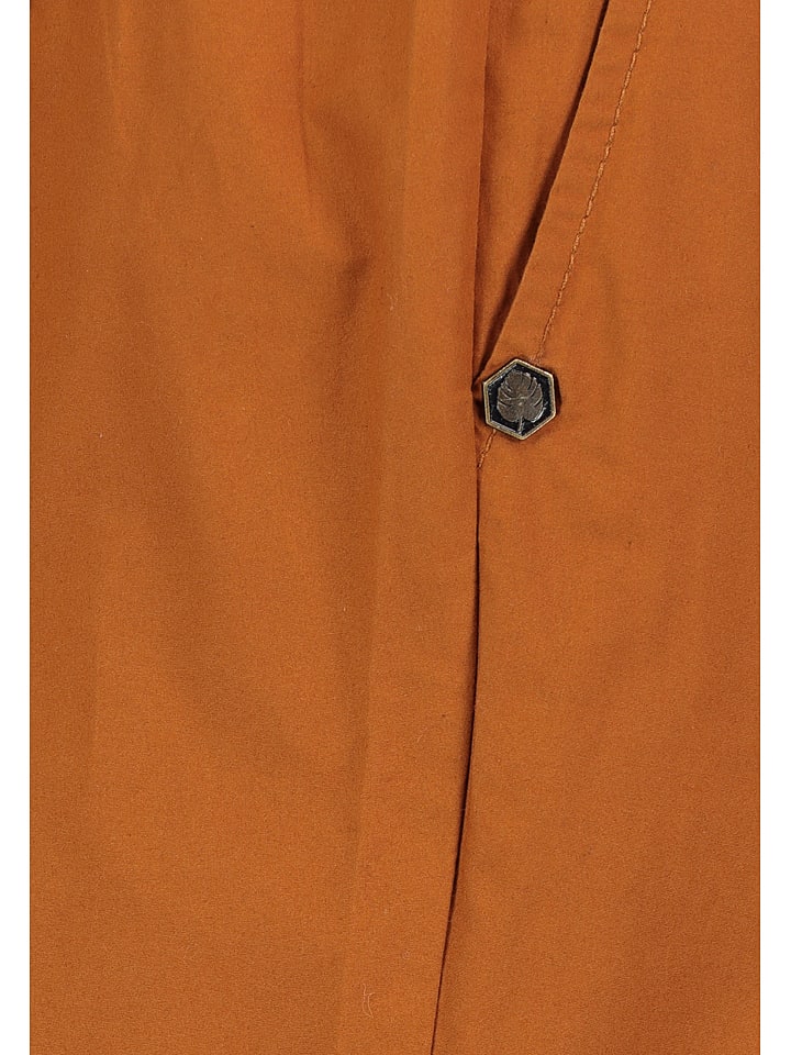 Sublevel Shorts 