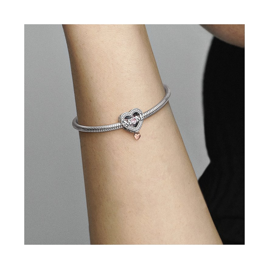 Pandora Charm Moments