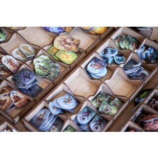 Gloomhaven Organizer