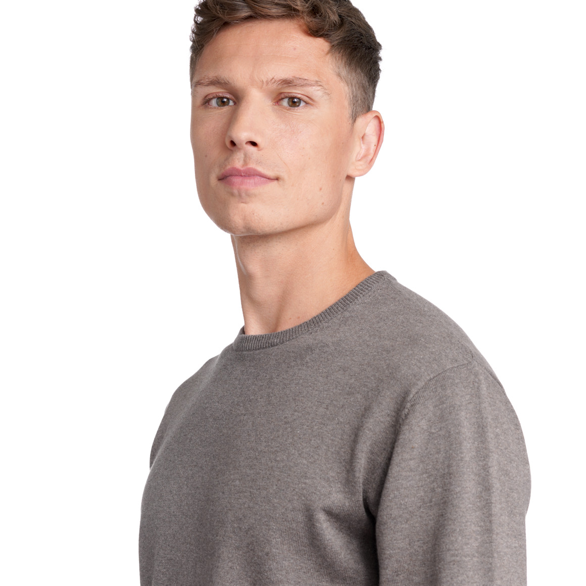 Herren Feinstrickpullover mit Rundhals
