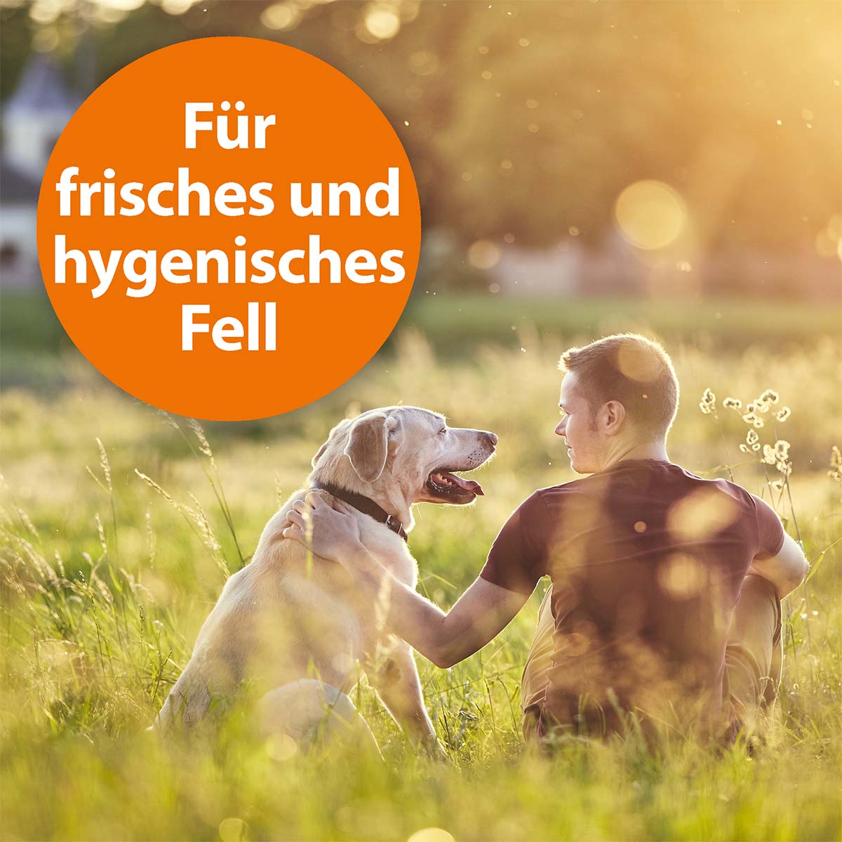 ARDAP Anti-Floh Shampoo für Hunde 3x250ml kaufen bei ZooRoyal