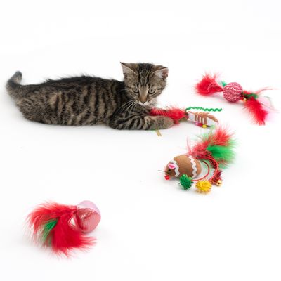 TIAKI Weihnachtliches Spielzeug-Set für Katzen
