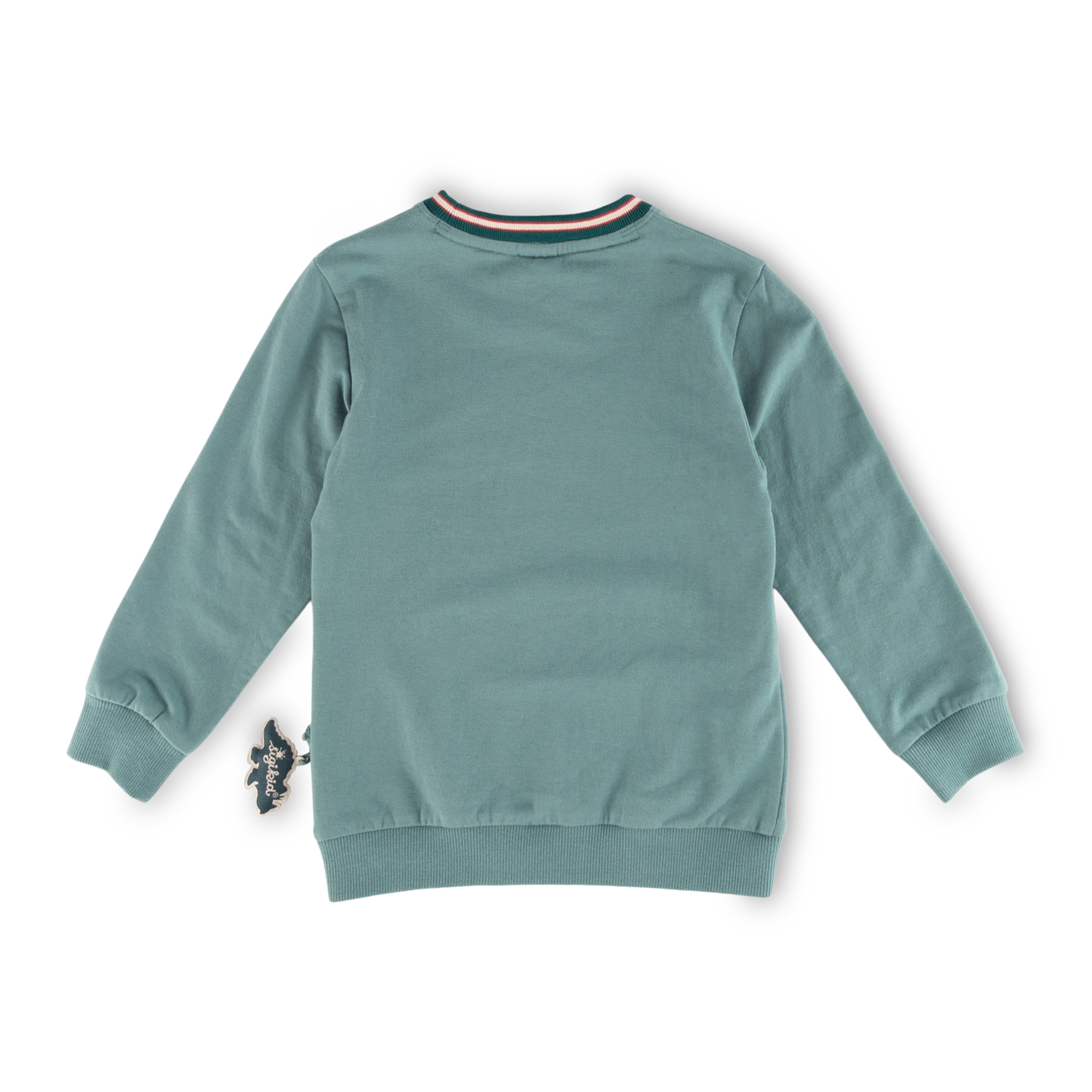 Kinder Sweatshirt Dino, grün