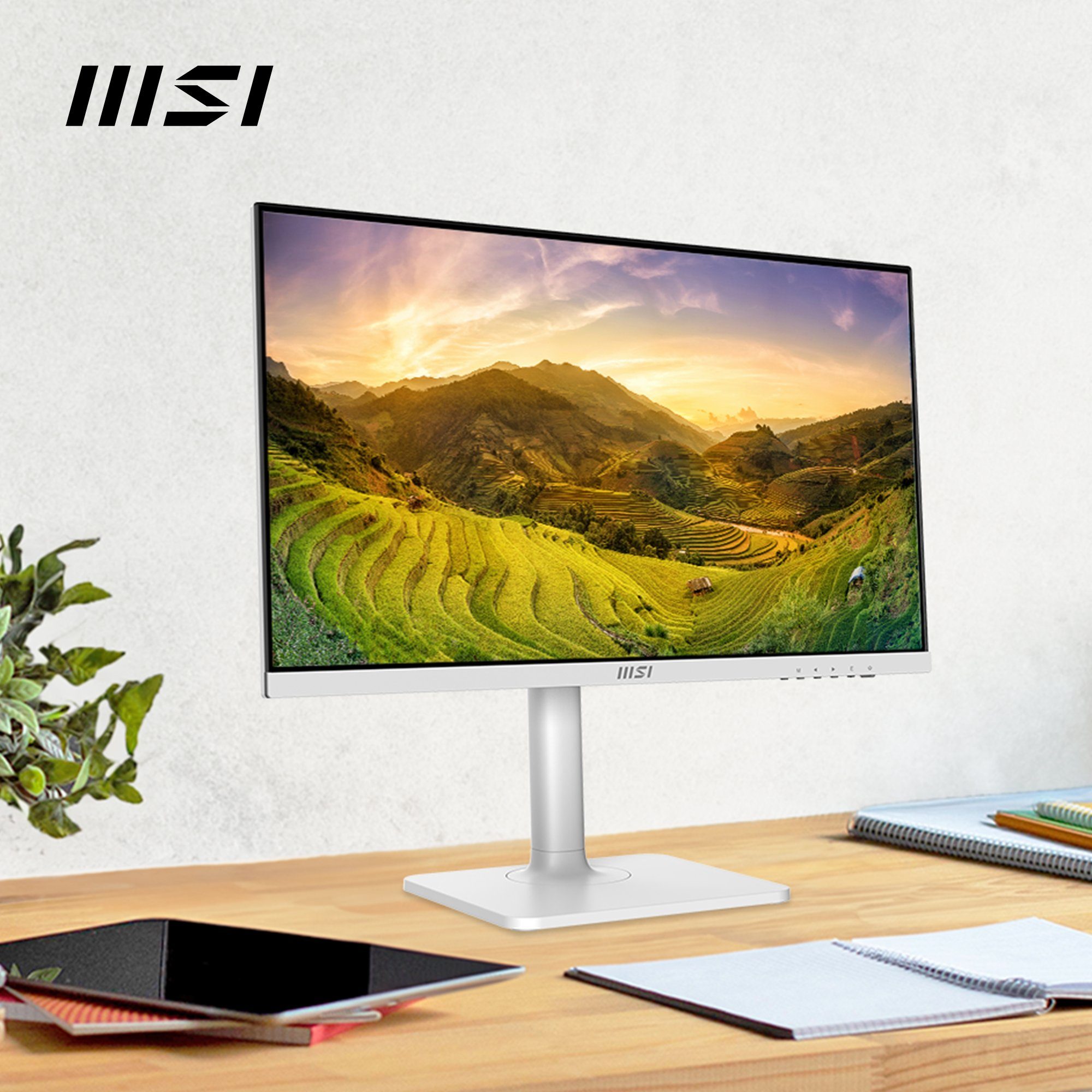 MSI Modern MD2412PW LED-Monitor (60 cm/24 