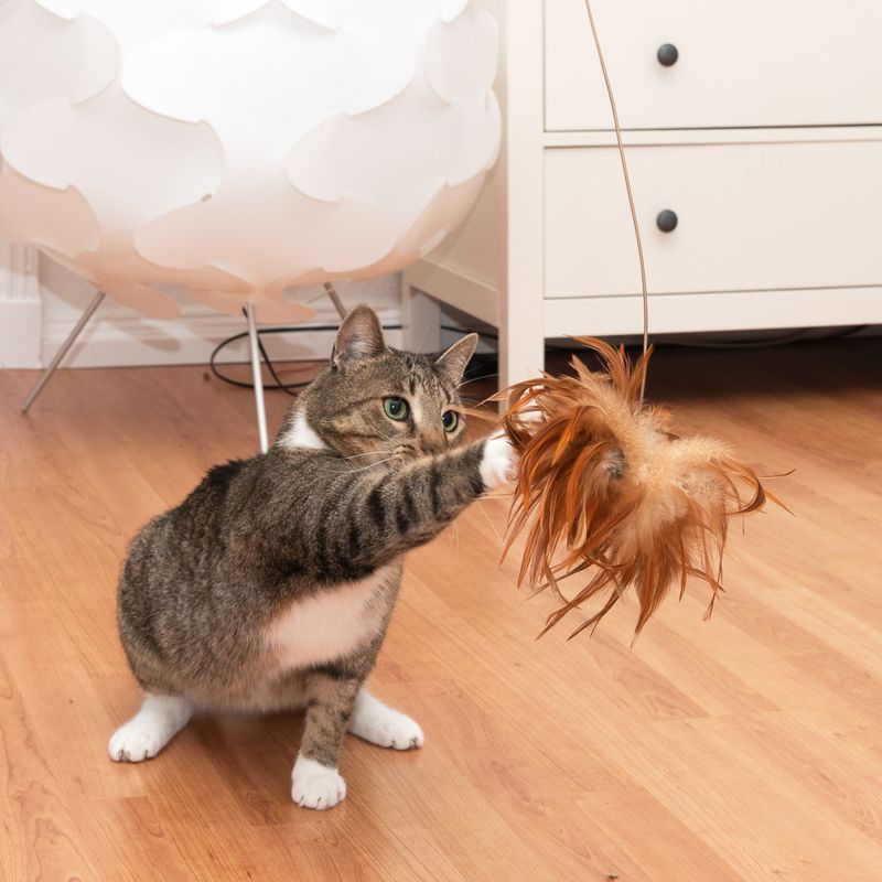 TIAKI Katzenangel mit Federn zu TOP-Preisen