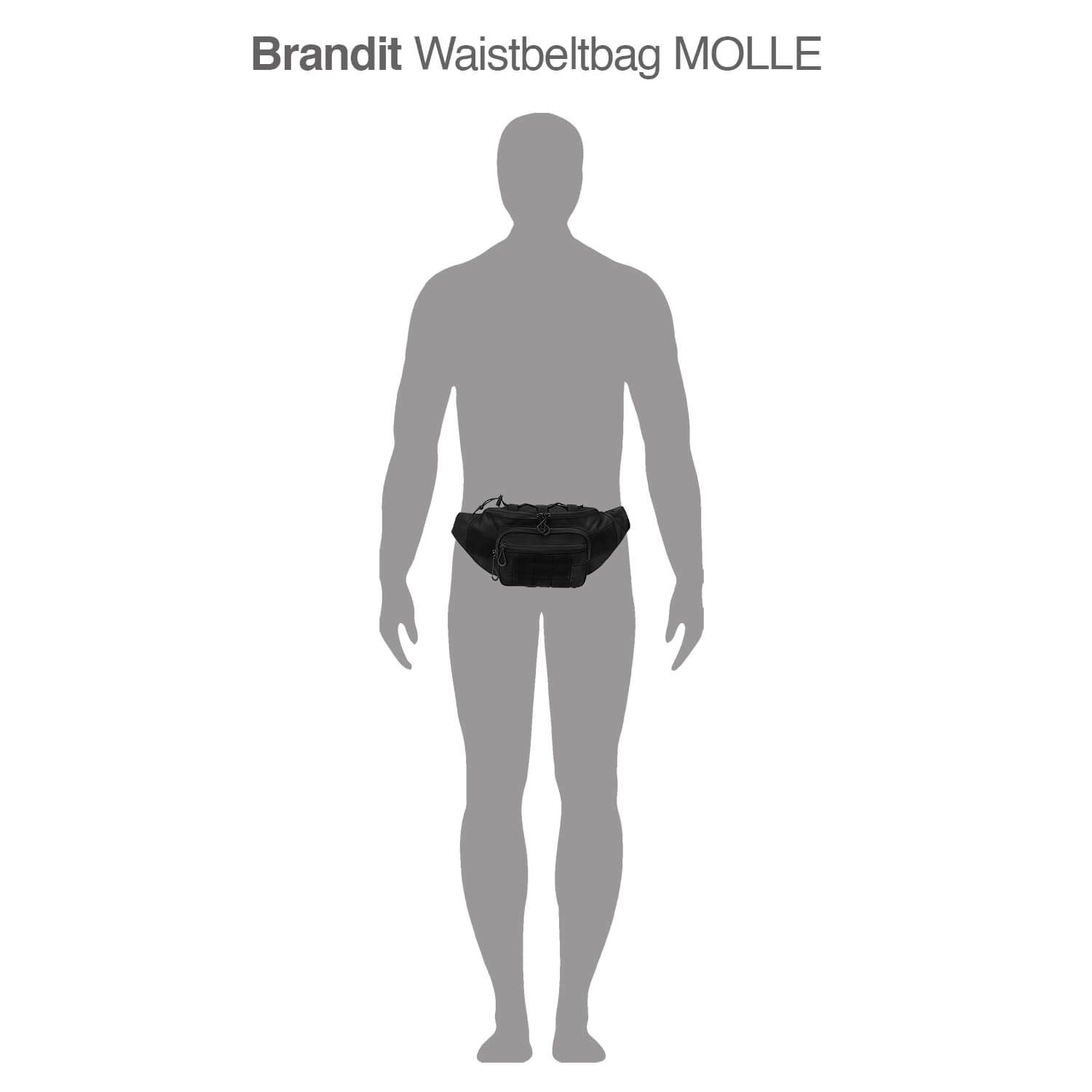 Waistbeltbag Molle