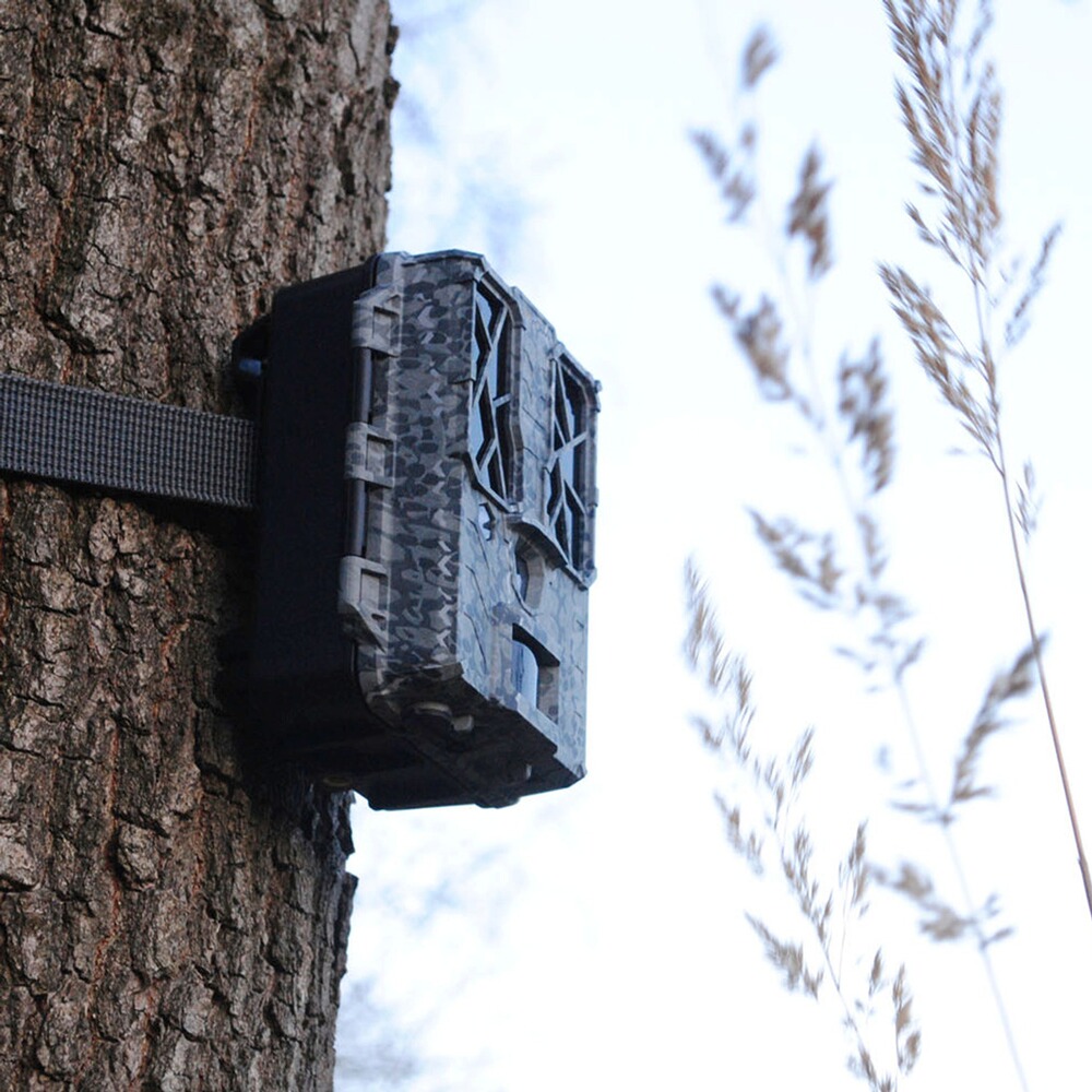 Spypoint Wildkamera Force-Pro