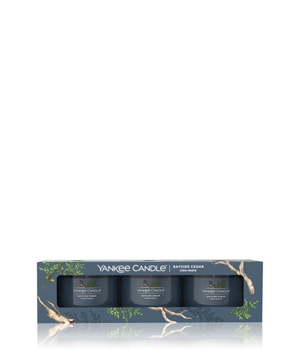 Yankee Candle Bayside Cedar 3er Pack Filled Votive Duftkerze-37 g