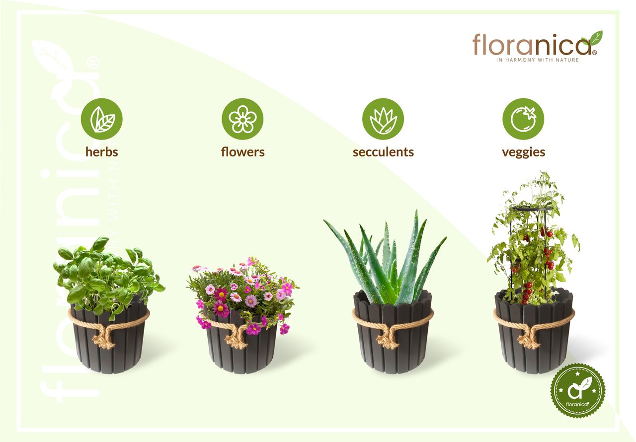 Pemicont Floranica Runder Blumentopf aus Holz 33x20cm Anthrazit Imprägnierte Kiefer Schutzhülle für Kräuter Blumen Haus- und Gartendekoration Truhe Innen- und Außeneinsatz EU-Produkt