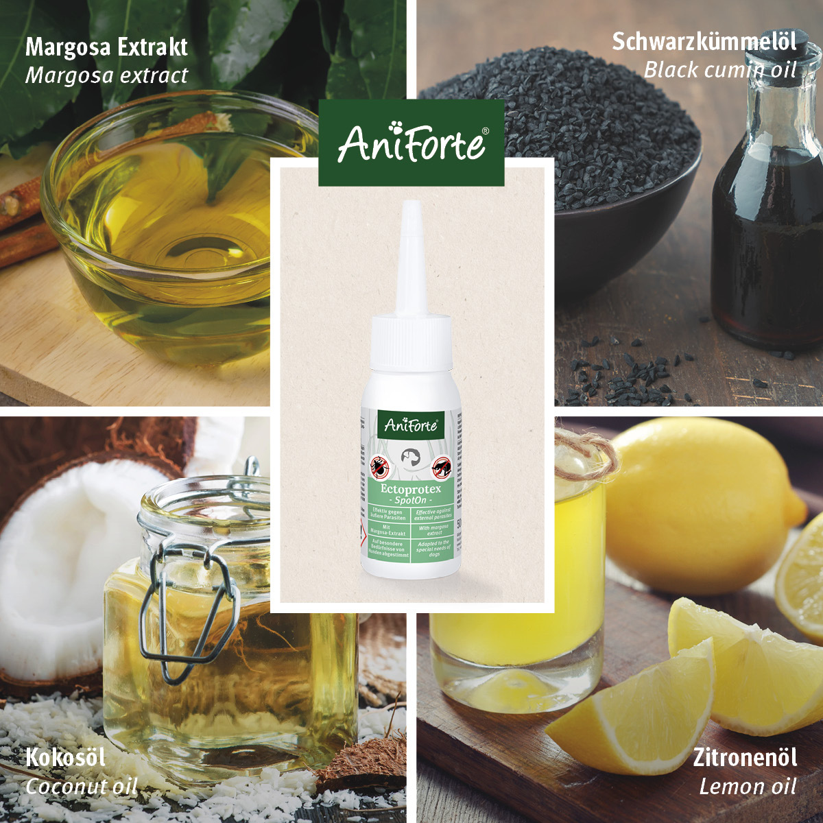 Aniforte Floh- & Zeckenmittel Aniforte Spot-on für Hunde Ectoprotex