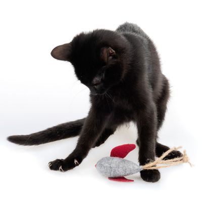 zoolove Katzenspielzeug Filzvogel