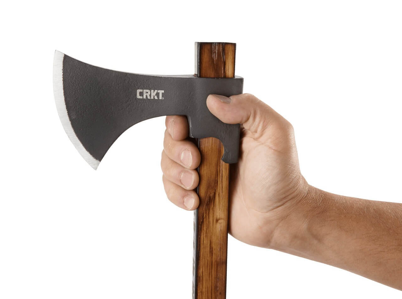 Cimbri